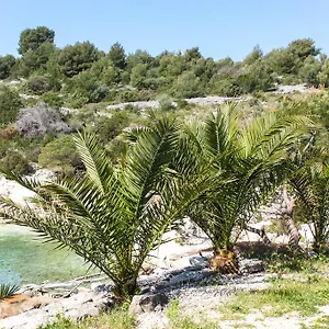 Tatinja , Trogir Chorwacja